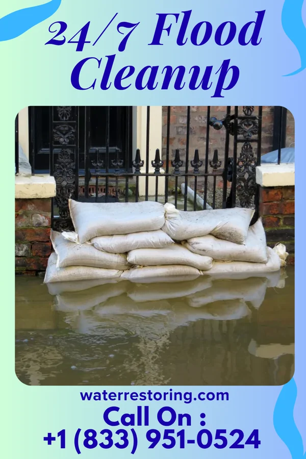 24/7 Flood Cleanup in Live Oak, SC