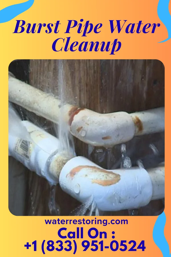 Burst Pipe Water Cleanup in Live Oak, SC