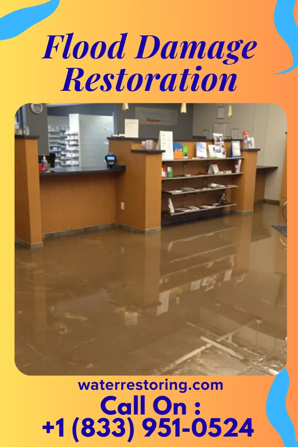 Flood Damage Restoration in Live Oak, SC