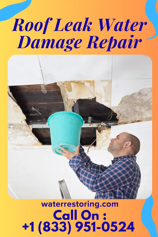 Roof Leak Water Damage Repair in Live Oak, SC