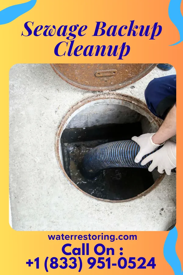 Sewage Backup Cleanup in Live Oak, SC